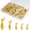 202 PCS Frame Hanger Kit, 10lb, 20lb, 30lb, 50lb&100lb Picture Hanging Hardware Kit, Picture Hanging Tool, Pcture Hangers,Picture Frame Hanging Kit, Picture Hooks for Pictures, Canvas, Mirror (Gold1)